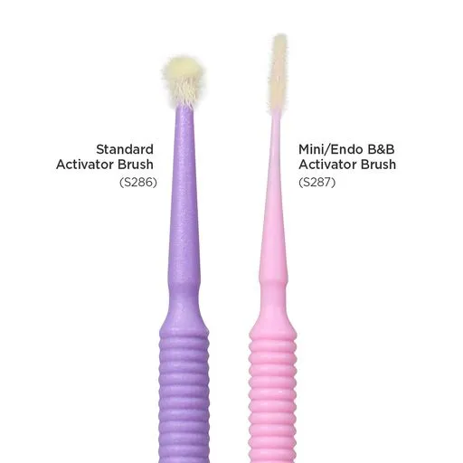 Brush&Bond Mini/Endo Activator Brushes