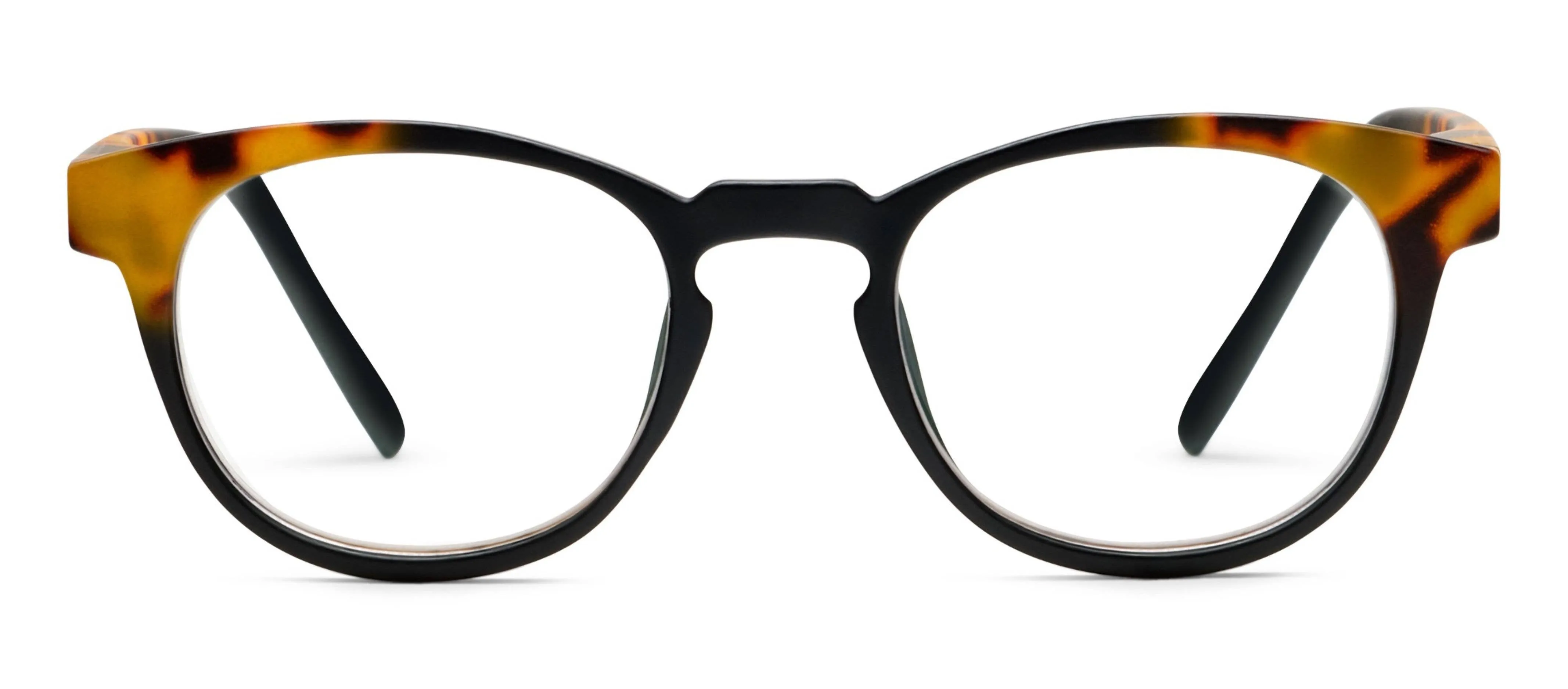 Chester (Blue Light): Black/Tokyo Tortoise / Reading / 2.00