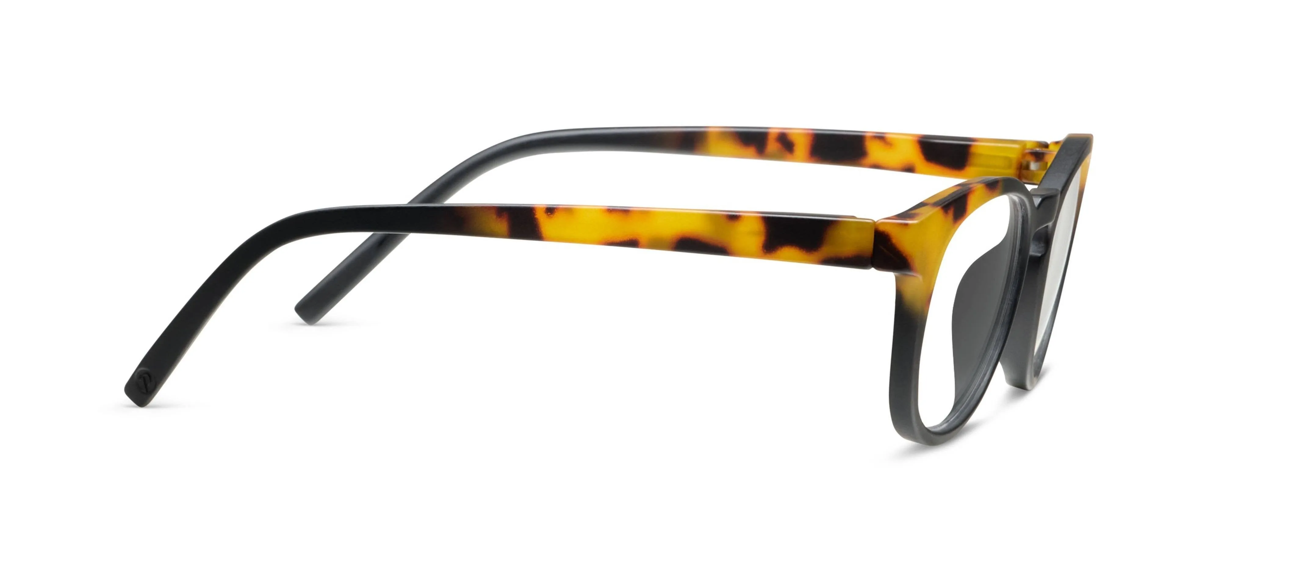 Chester (Blue Light): Black/Tokyo Tortoise / Reading / 2.00