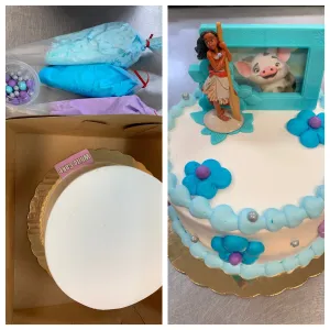 Decorate your own Cake Kit