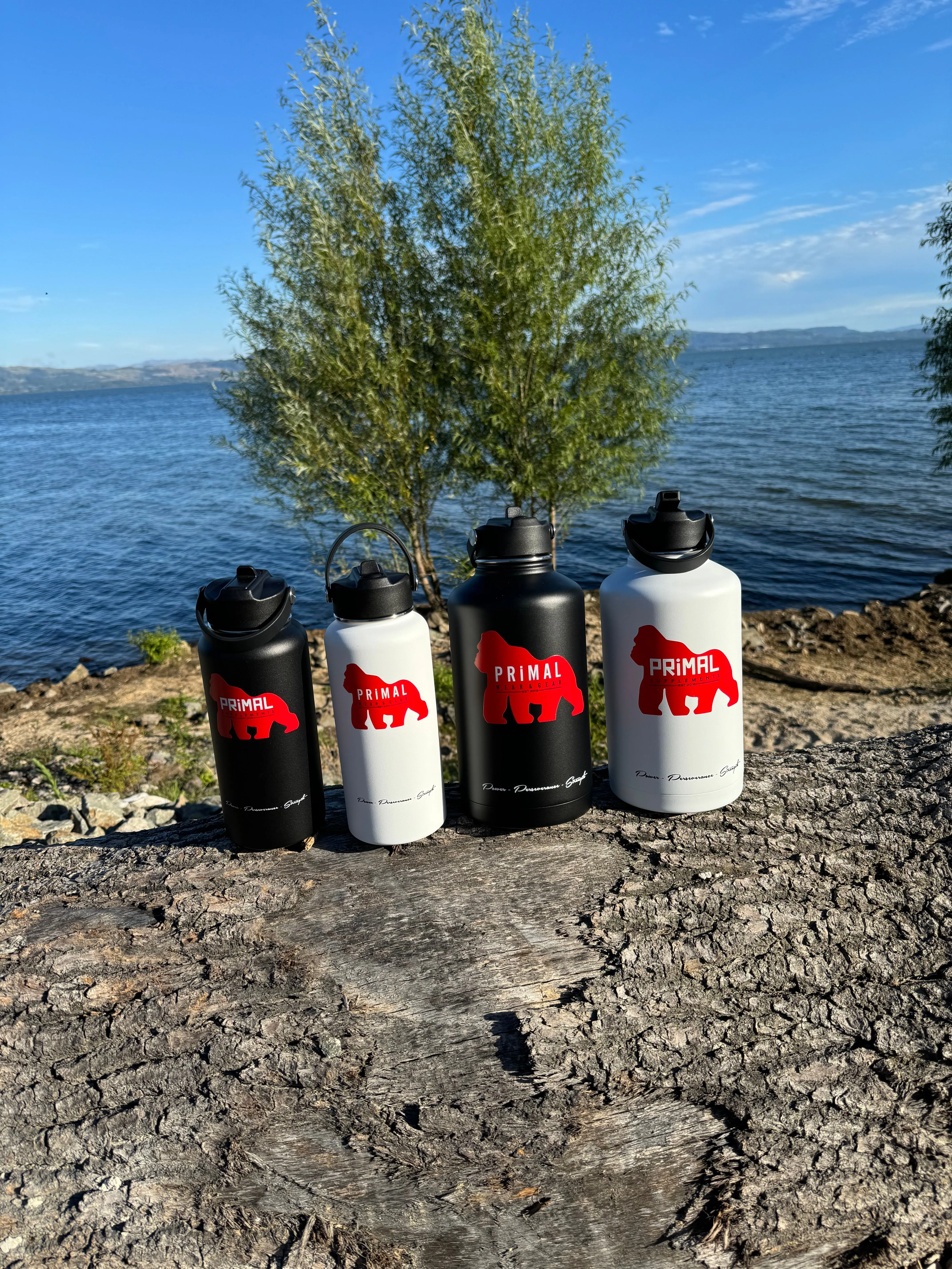 Insulated Water Bottle (946.35mls / 32oz)