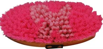 Junior Size Bristle Body Brush