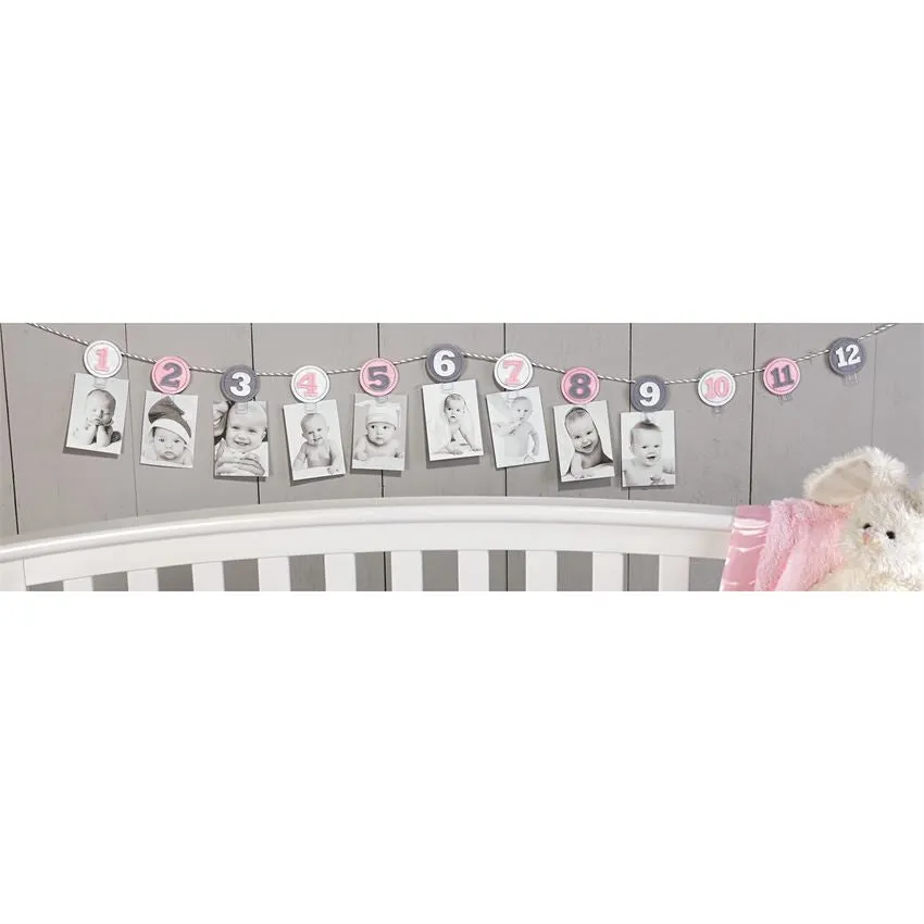 Mud Pie Monthly Photo Banner-Pink