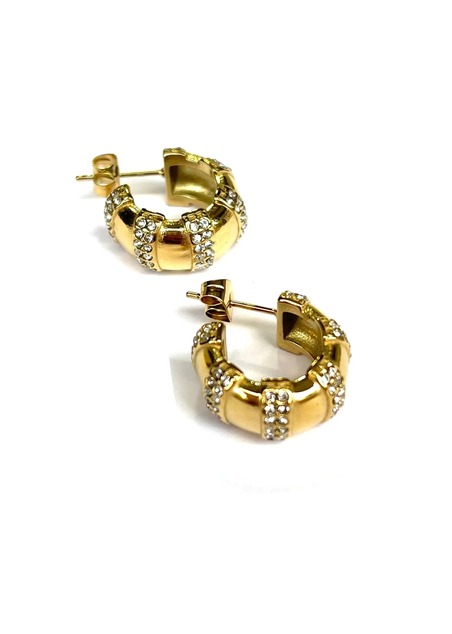 Niall Huggie Earrings