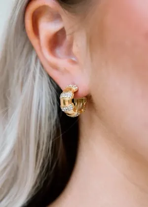 Niall Huggie Earrings
