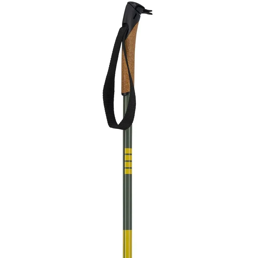 Swix INFINITY BASIC Poles 2025