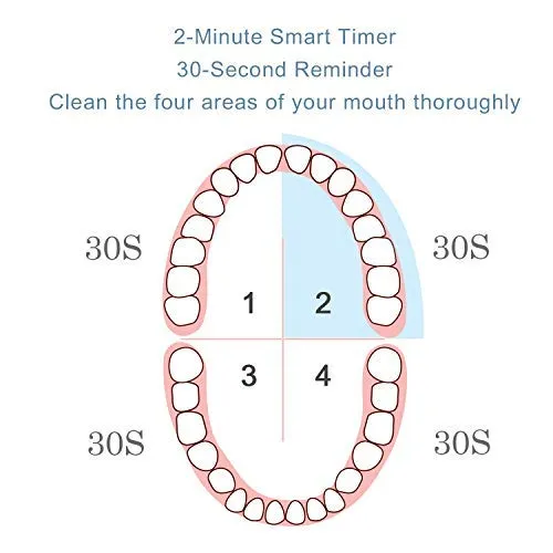 Travel Sonic Electric Toothbrush Power Toothbrush with Travel Case, 5 Modes and 3 Brush Heads, USB Charging Toothbrush with 2-Minute Timer, Waterproof Black