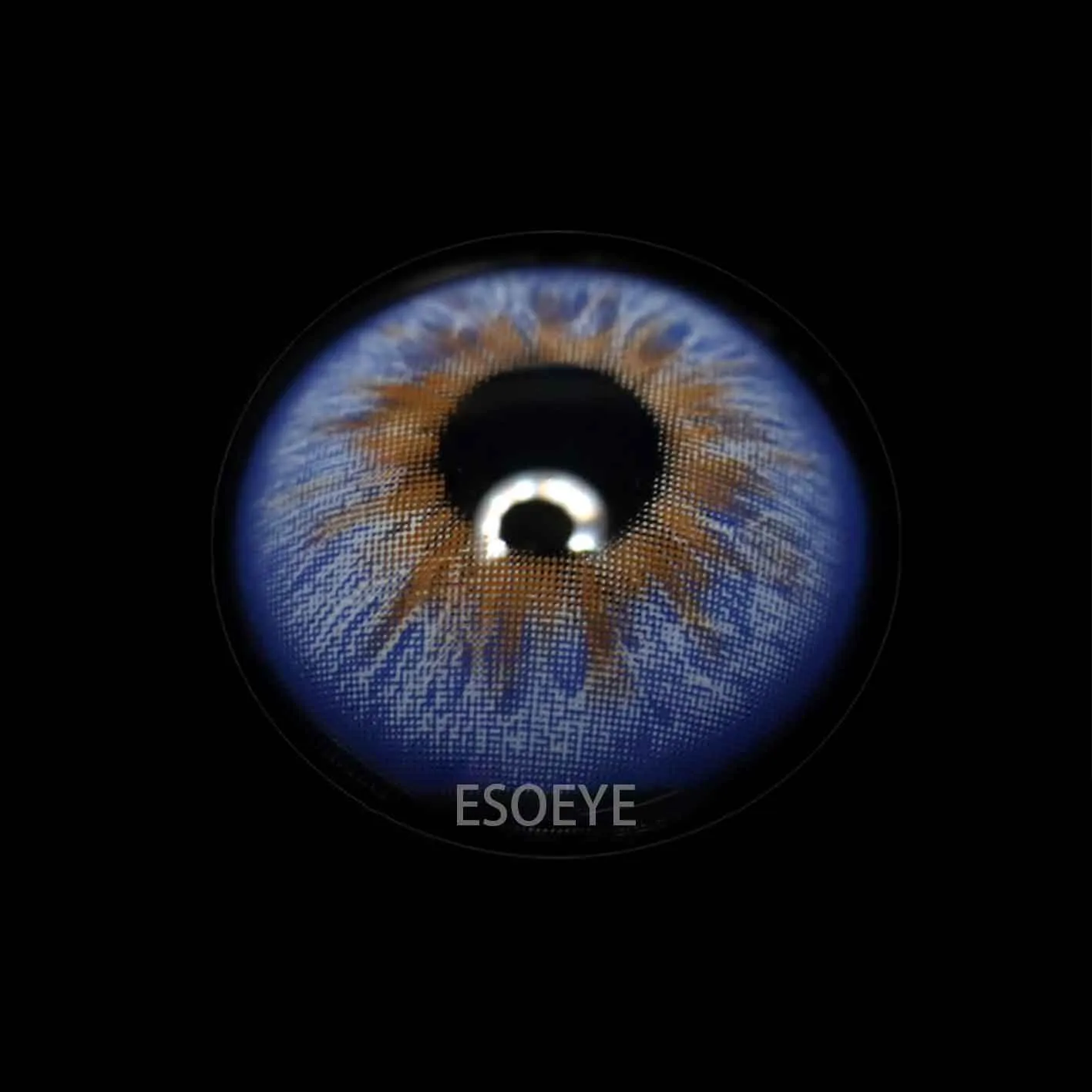 Wildness Peacock Blue Colored Contact Lenses Yearly